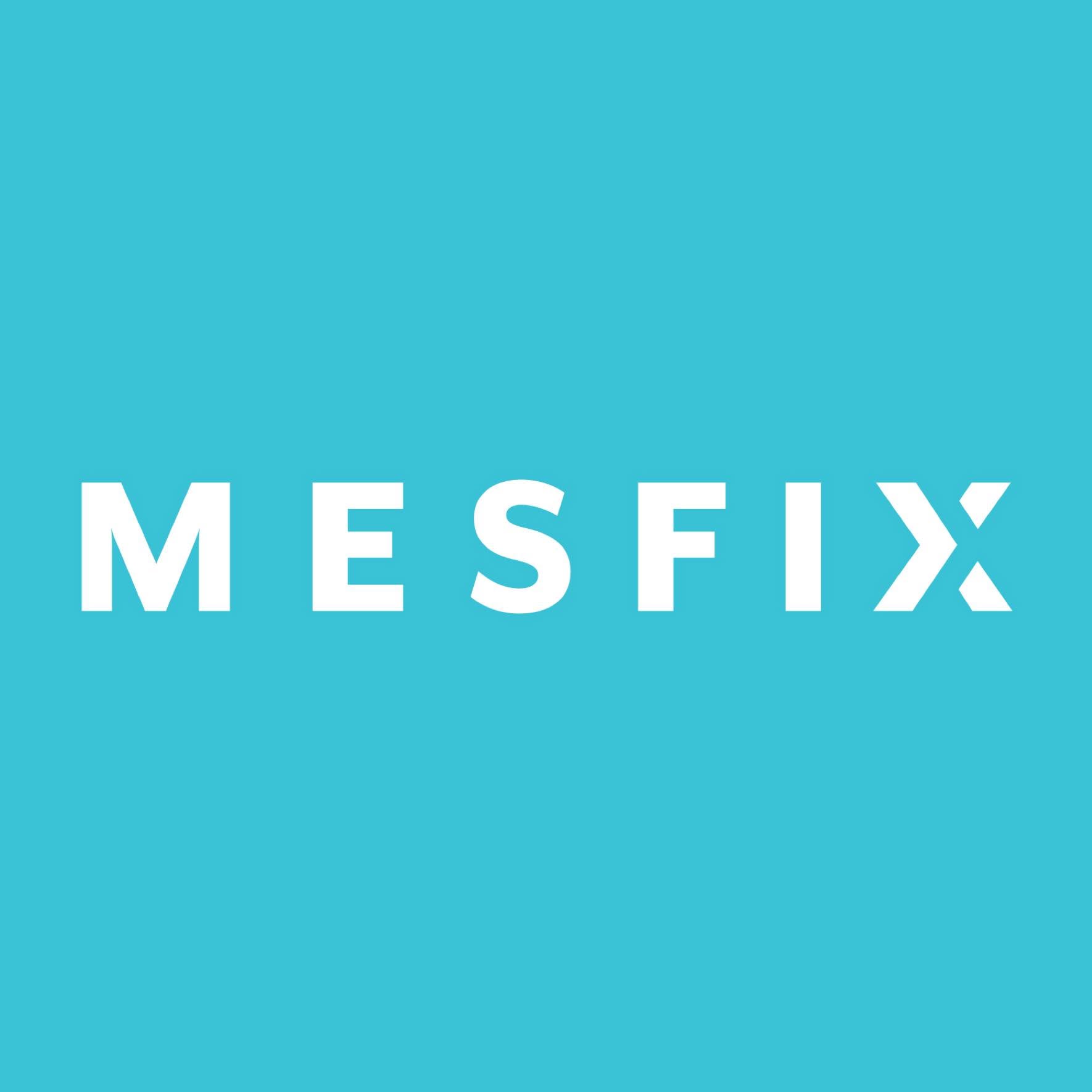 Mesfix